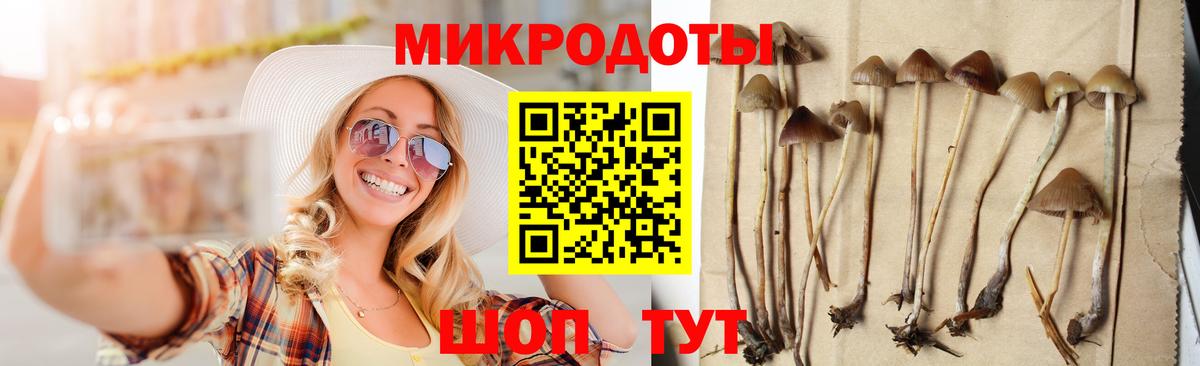 где можно купить наркотик  Псилоцибиновые грибы Psilocybe  Вход с VPN  Канск  Псилоцибиновые грибы GOLDEN TEACHER 